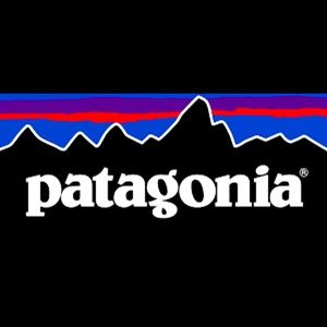 NWT size small Patagonia shorts